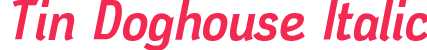 Tin Doghouse Italic